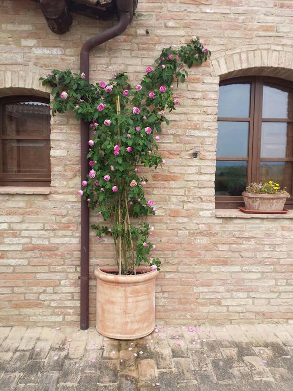 Agriturismo San Pierino Monteroni dʼArbia Exterior foto